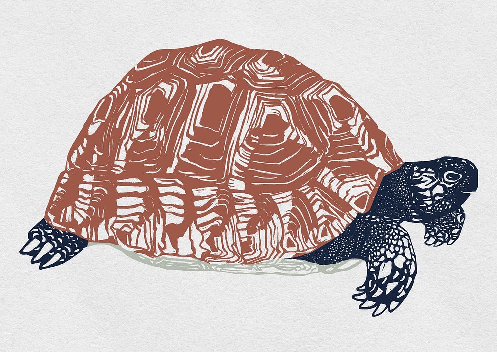 Vintage animal turtle psd colorful stencil pattern