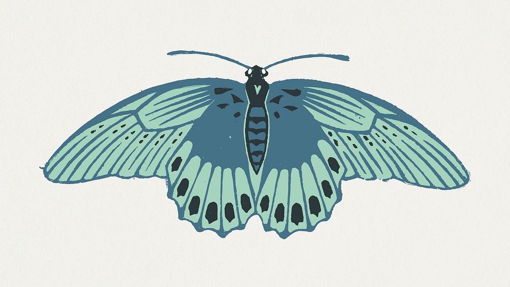 Blue moth insect vintage hand drawn illustration