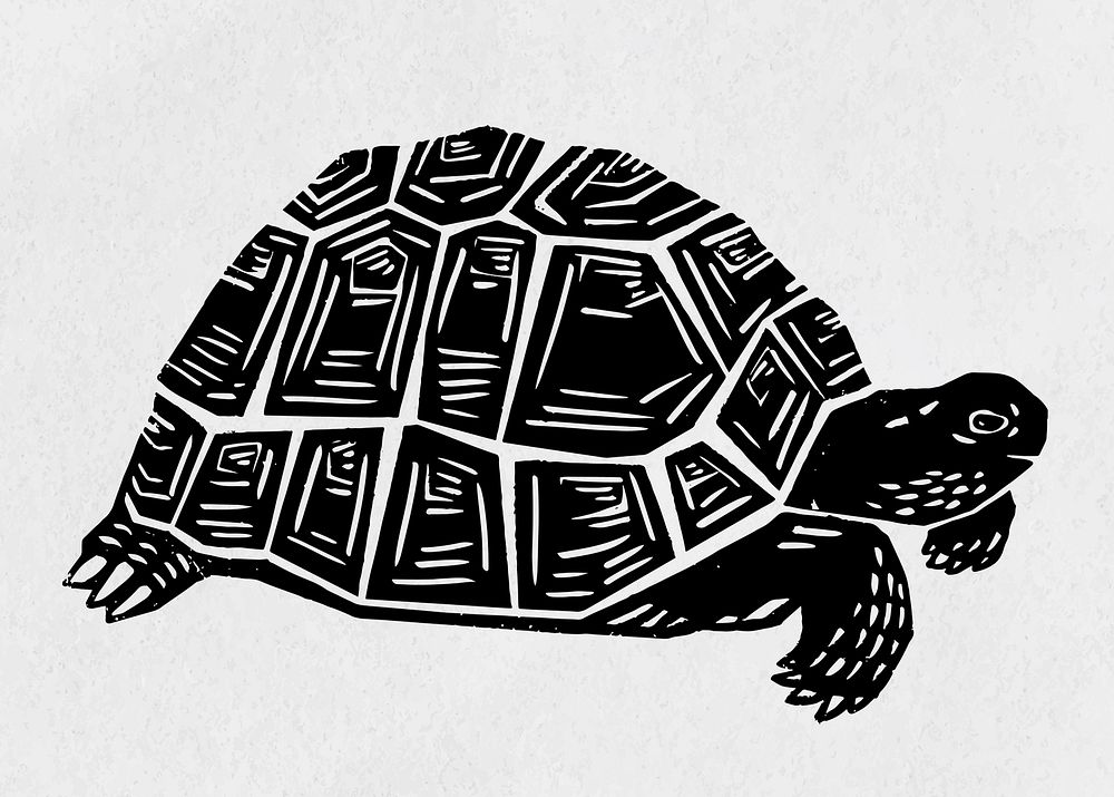 Turtle black linocut vintage hand drawn