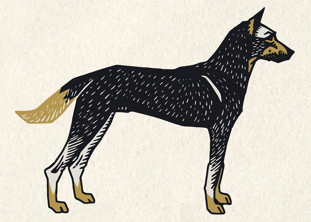 Vintage dog animal black linocut drawing clipart