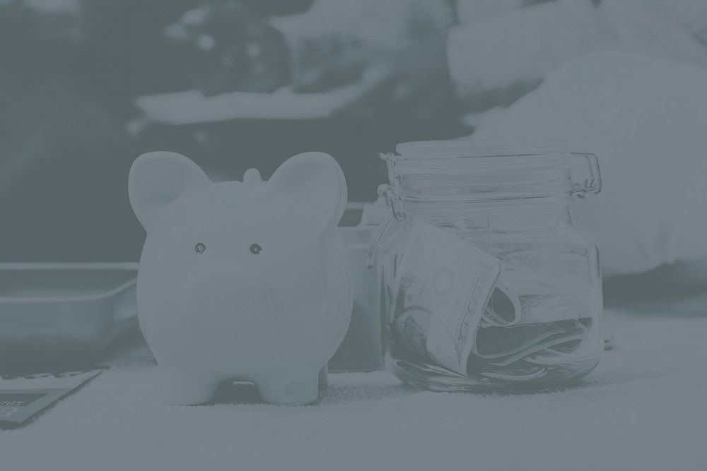 Piggy bank and banknote monochrome background