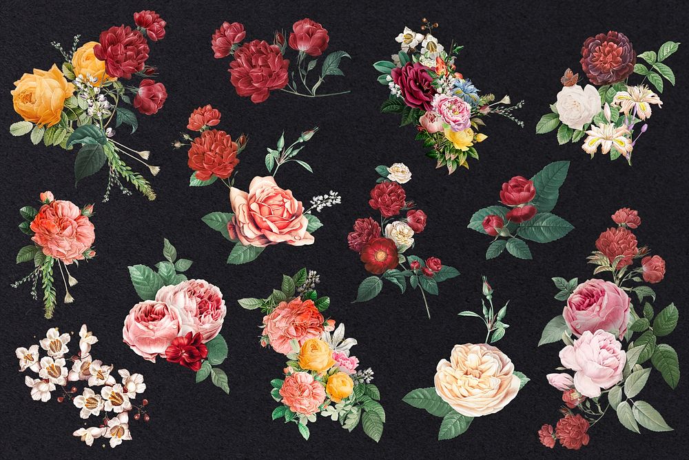 Vintage garden roses psd colorful hand drawn illustration set