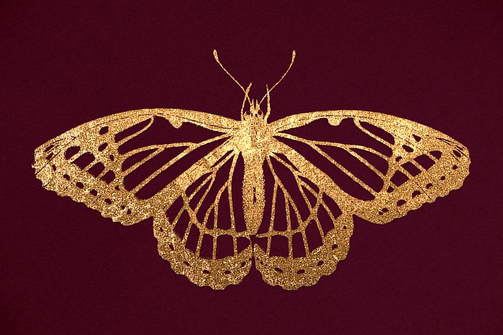 Glittery gold butterfly vintage animal illustration
