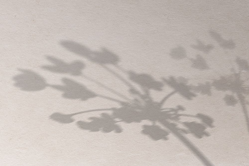 Background with shadow of a floral branch
