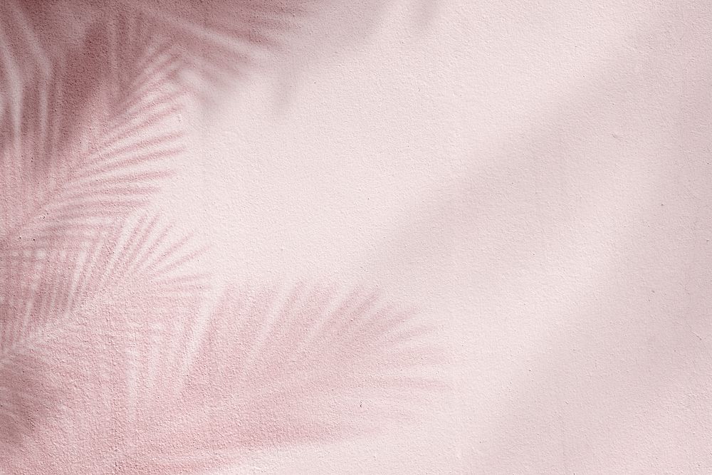 Pink background with palm tree