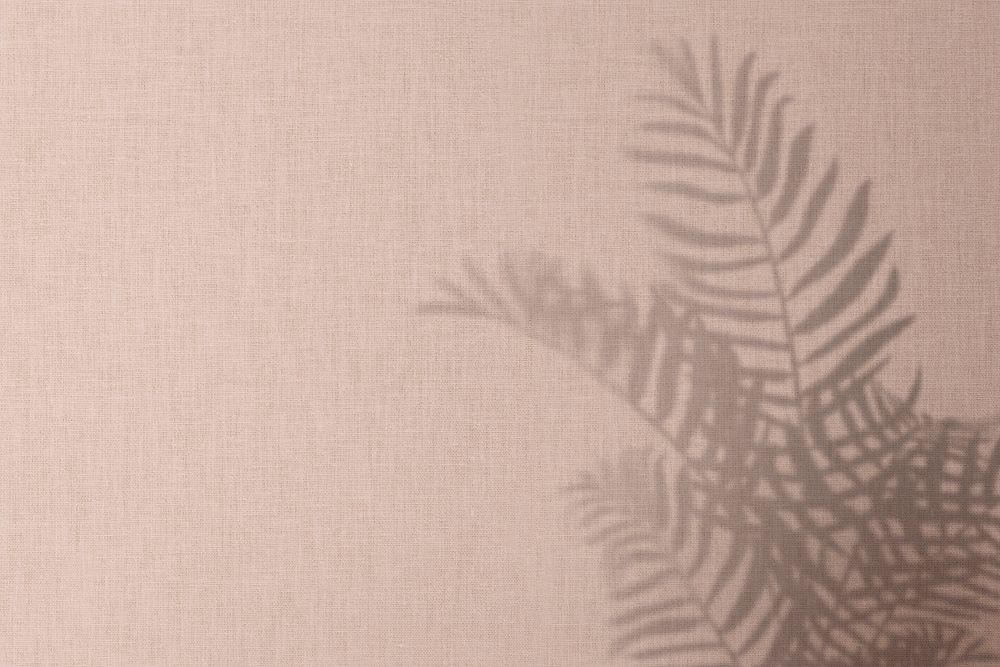Pink background with palm leaves shadow