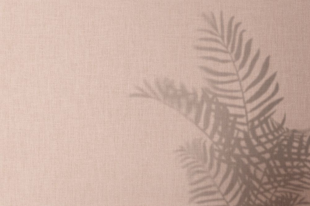 Pink background psd with palm leaves shadow