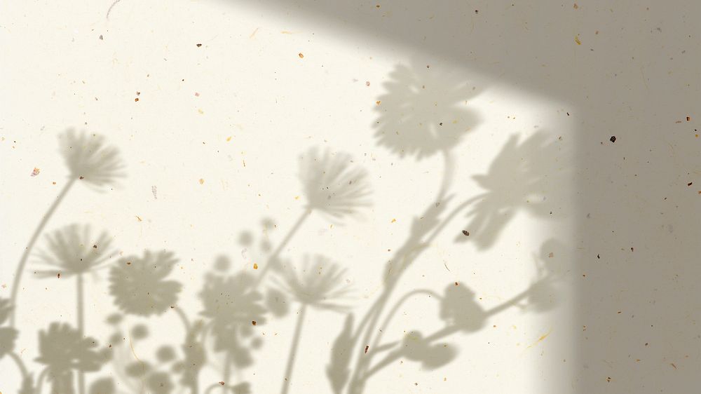 Flower shadow desktop wallpaper, aesthetic white wall background 
