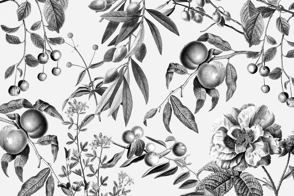 Elegant rose floral pattern vector black and white fruits vintage illustration