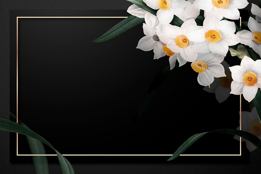 Easter frame vector with daffodil border on black background