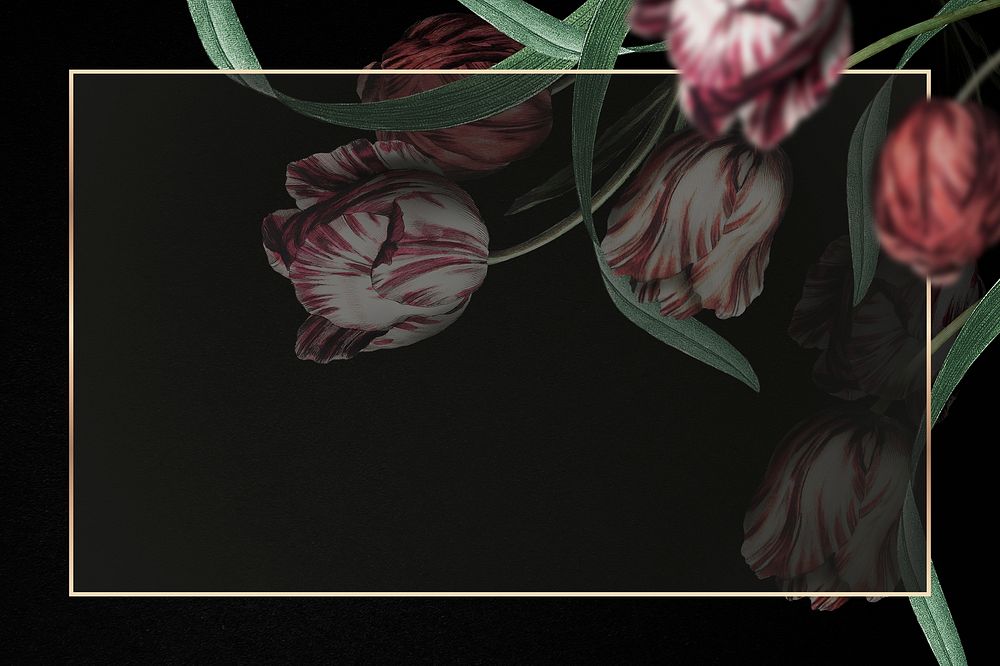 Gold frame psd with tulip border on black background