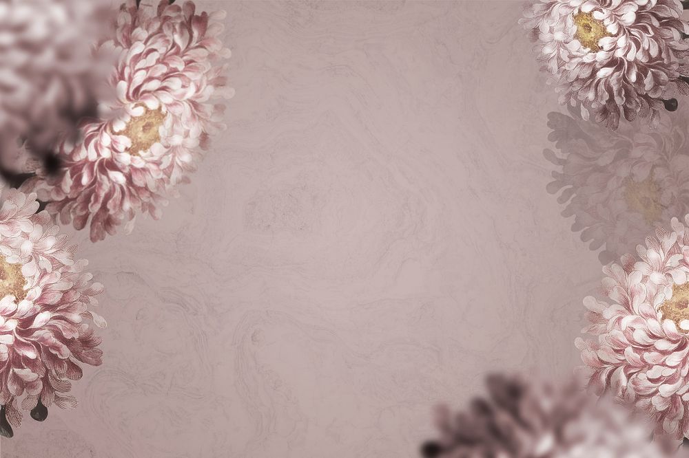 Aster border psd on floral background