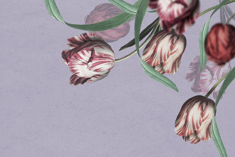 Tulip border psd on purple background