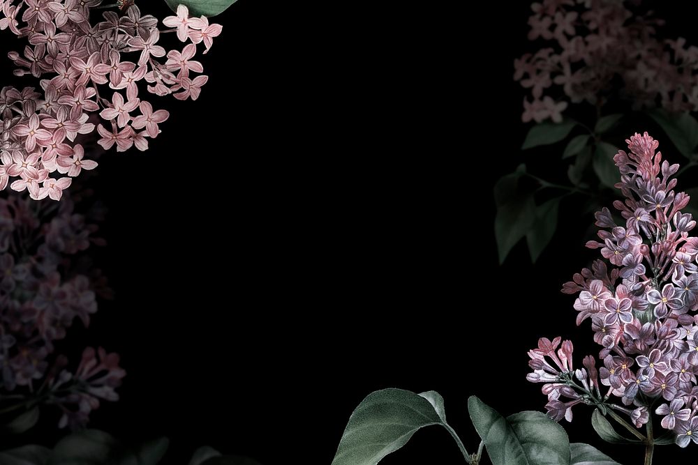 Lilac border psd dramatic flower background