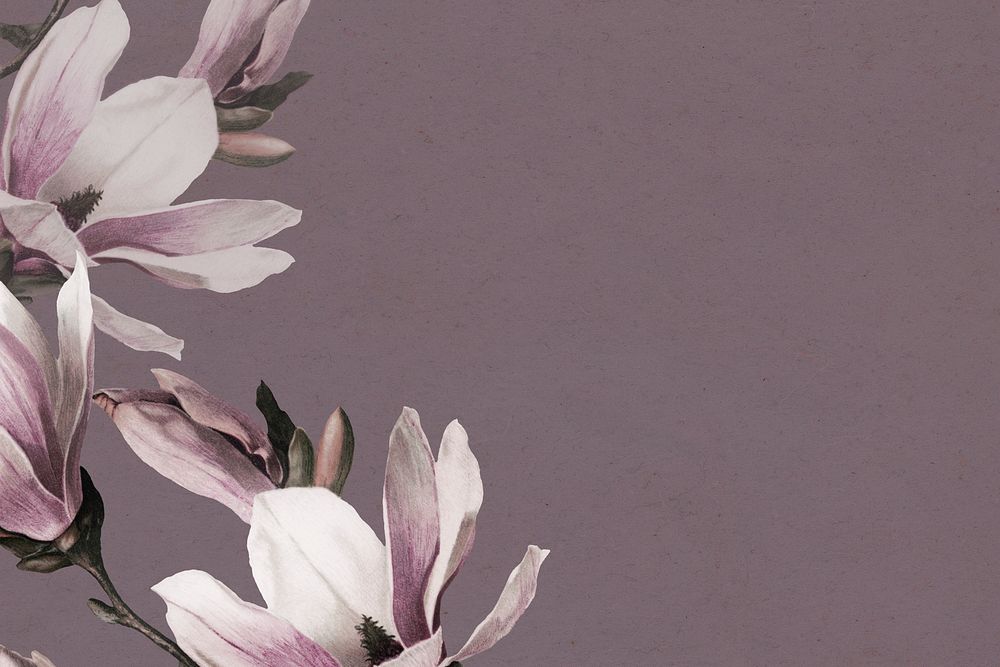 Magnolia border psd on purple background