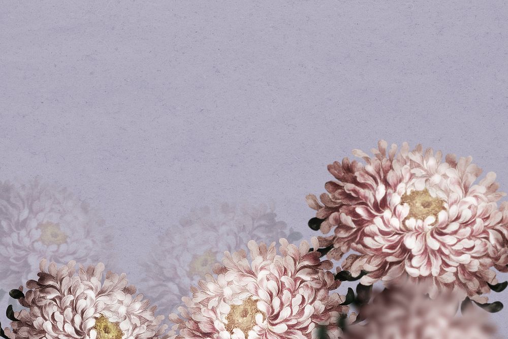 Aster border psd on purple background