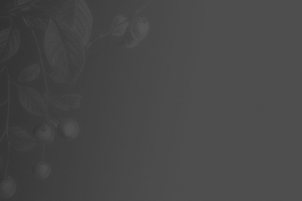 Gray floral border background psd
