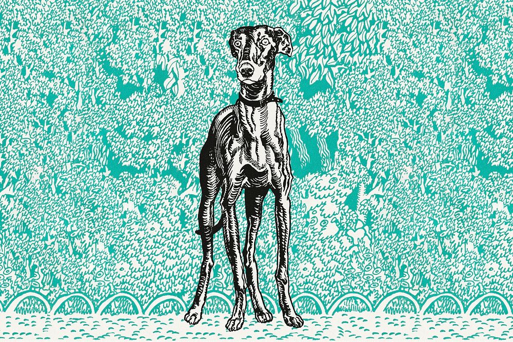 Cute greyhound dog psd vintage illustration, remixed from artworks by Moriz Jung