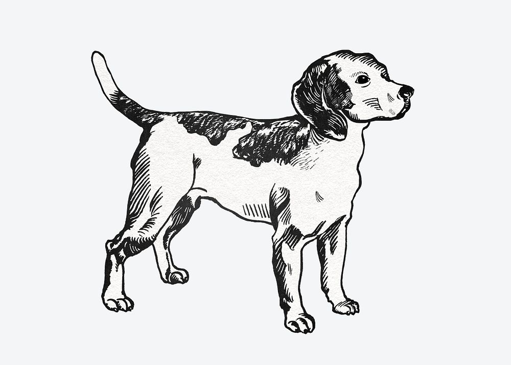 Cute beagle dog sticker psd vintage illustration