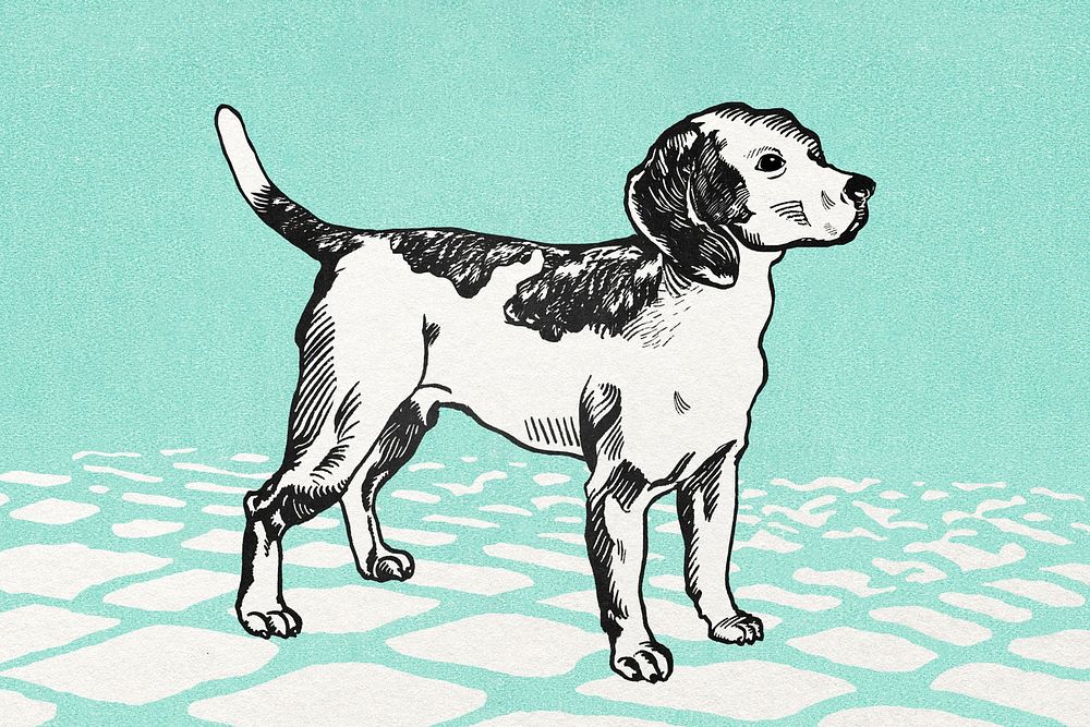 Cute beagle dog psd vintage illustration on green tile ground