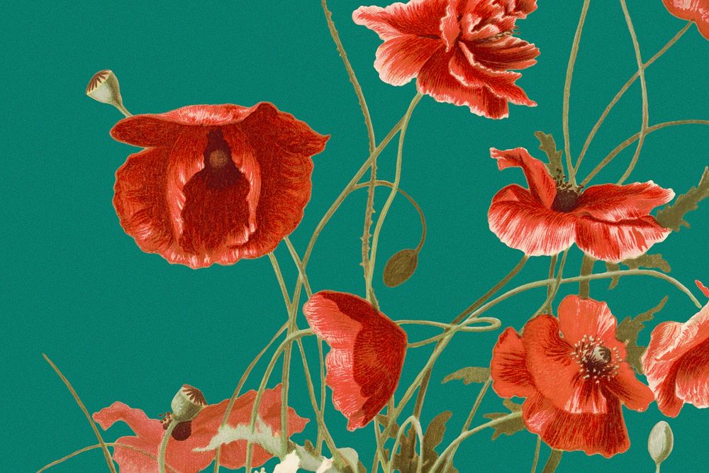 Colorful floral background psd with poppy illustration, remixed from public domain artworks
