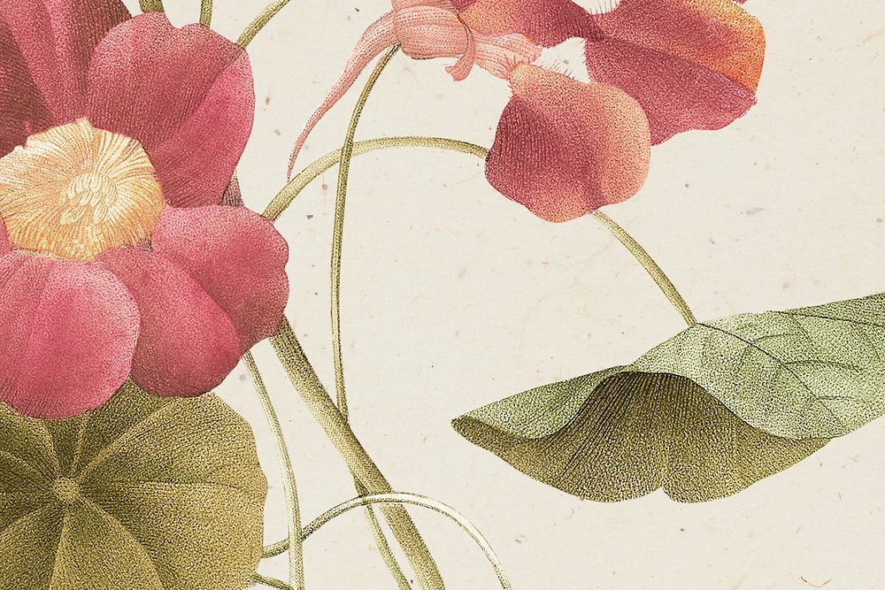 Vintage floral background psd with monk's cress flower illustration, remixed from public domain artworks