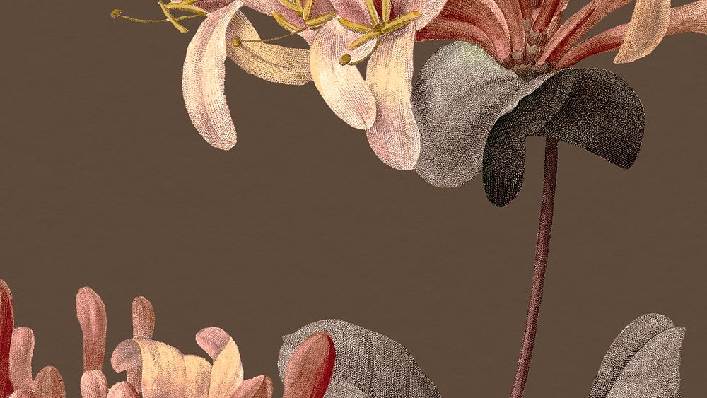 Vintage floral HD wallpaper with honeysuckle illustration, remixed from public domain artworks