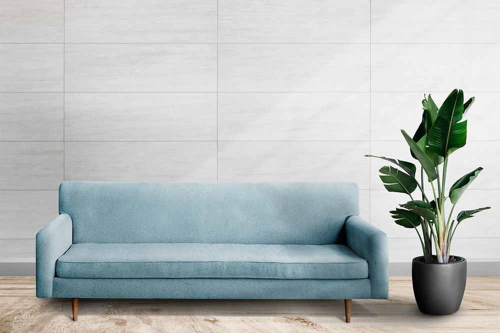 Sofa and plant in minimal living room