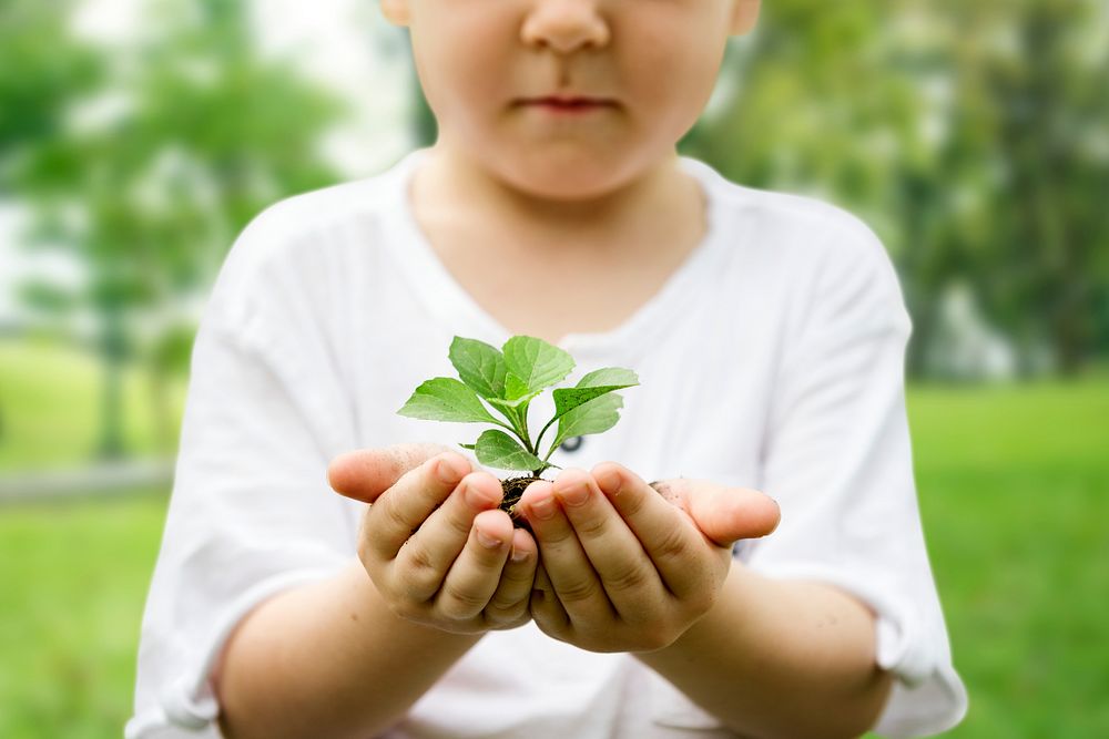 Boy holding plant psd closeup shot for environment campaign