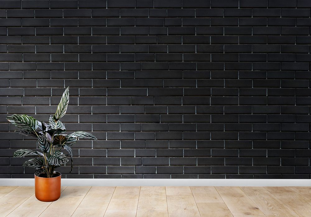 Plant against a black brick wall room mockup
