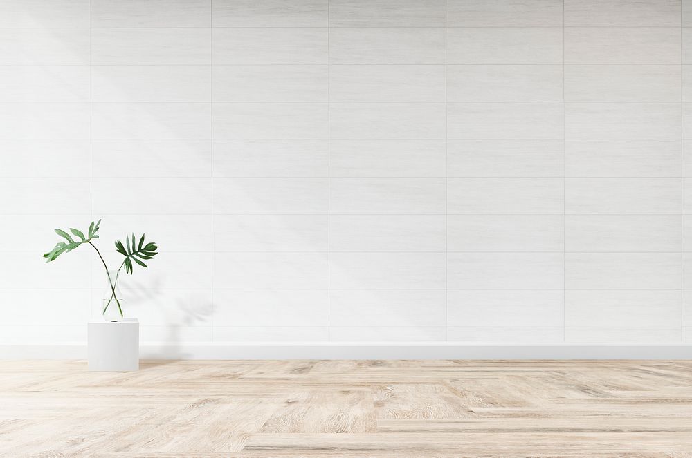 Plant against a white wall mockup