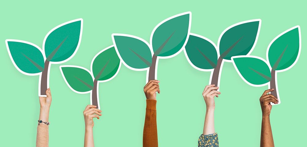 Hands holding plant leaves clipart