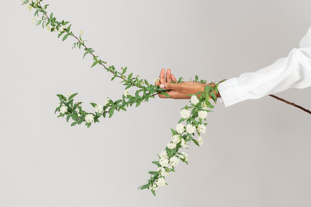 Woman holding a branch of snow willow flower