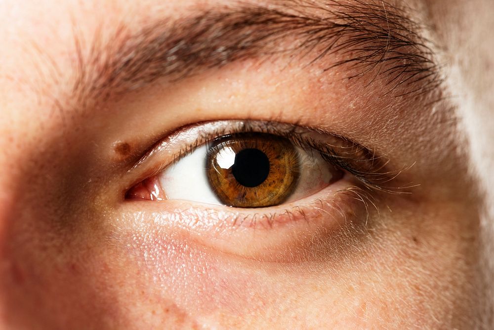 Man with beautiful brown eye color