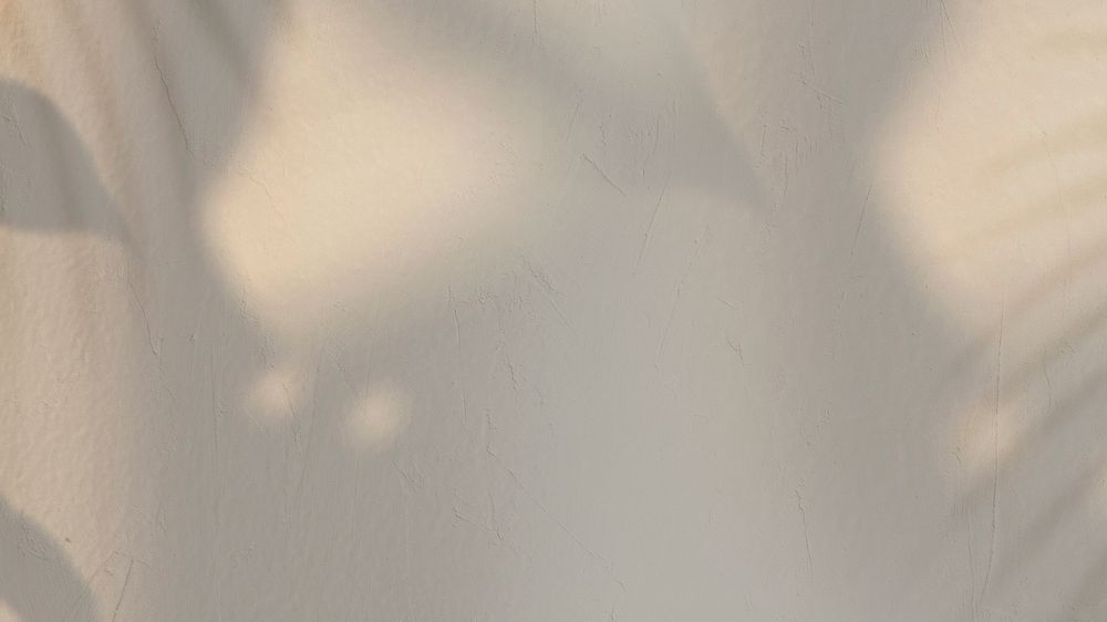 Gray leaves shadow on a wall