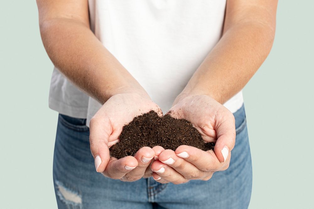 Soil in hand mockup psd for reforestation to prevent the climate change