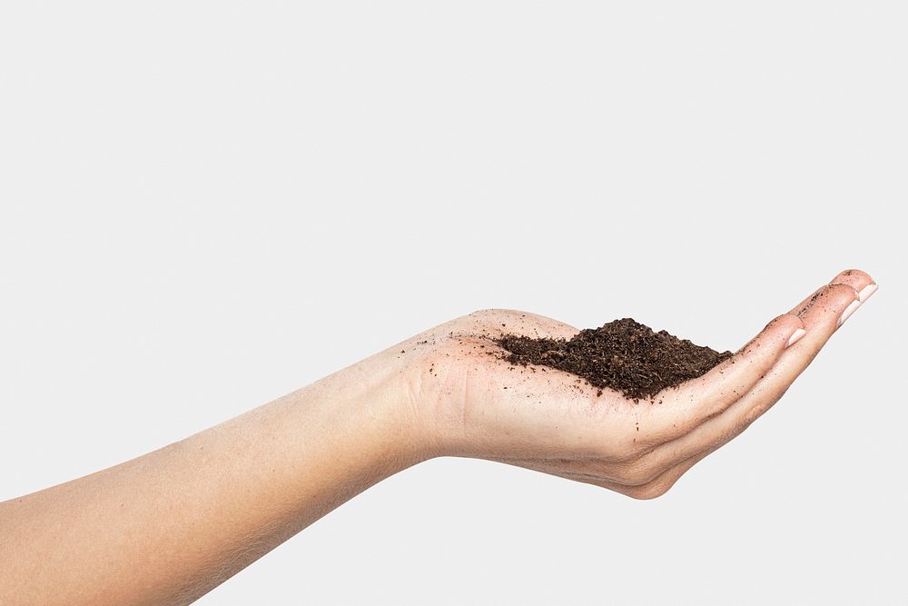 Soil in hand mockup psd for reforestation to prevent the climate change