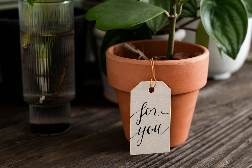 Potted plant with a message for you