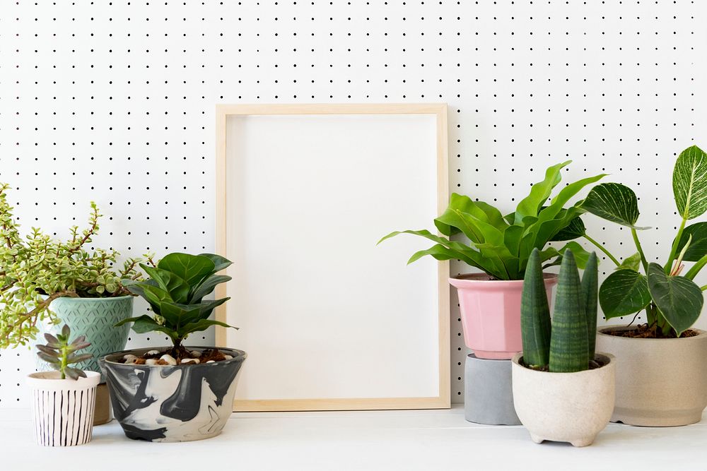 Blank frame on plant shelf home decor ideas