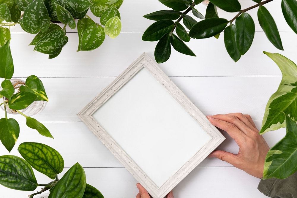 Blank picture frame with in plant background