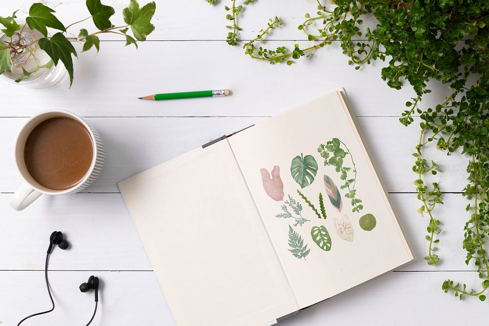 Notebook flat lay in plants with hand drawn illustrations