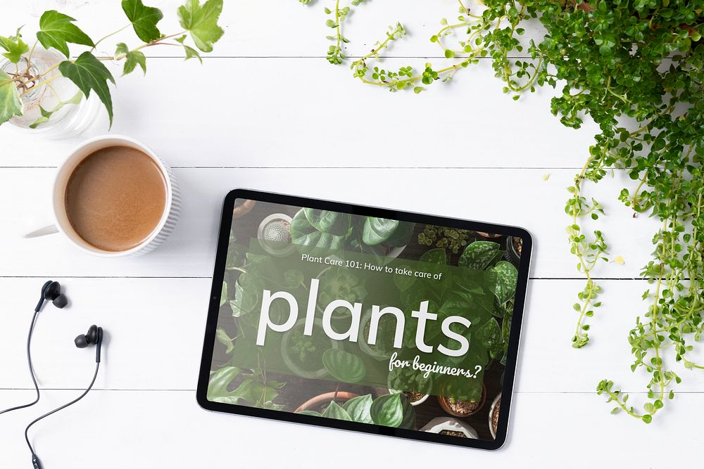 Blank digital tablet screen in houseplants background