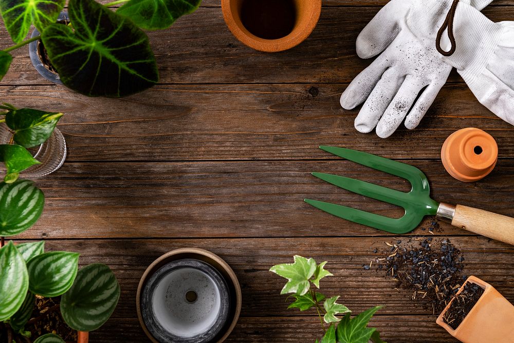 Wooden plant background with the gardening tools for hobby