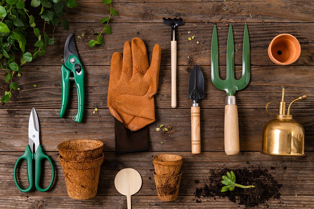 Plant parent gardening tools flat lay