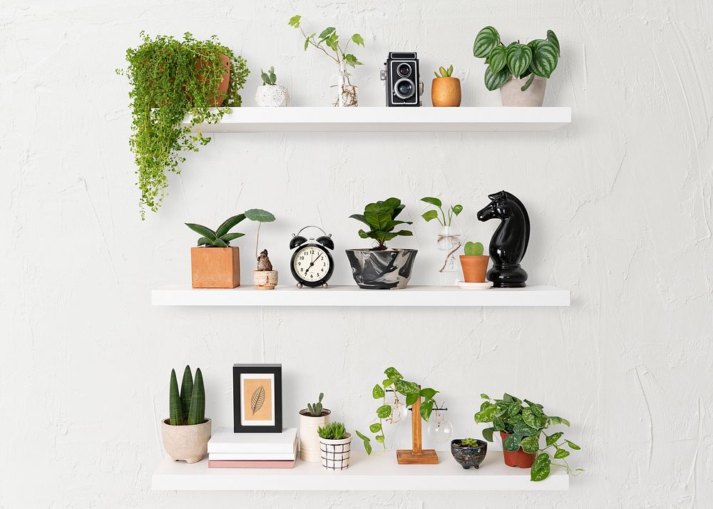 Colorful plant pots mockup psd on white shelf home decor