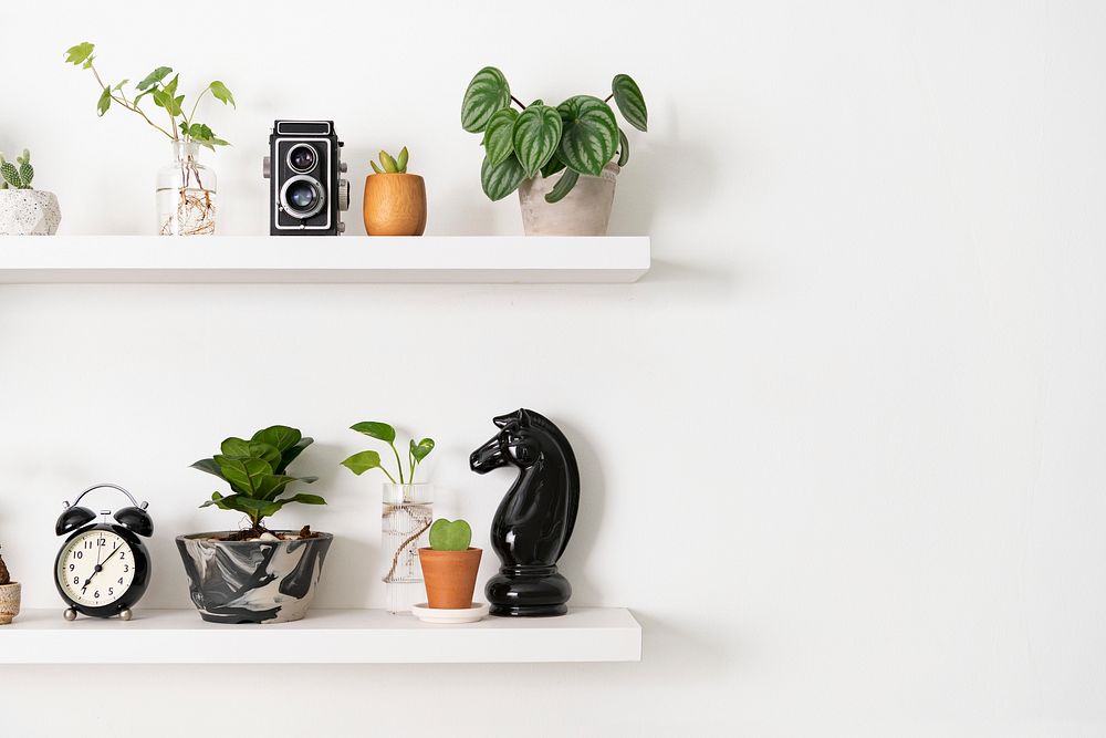 Plant wall shelf with design space