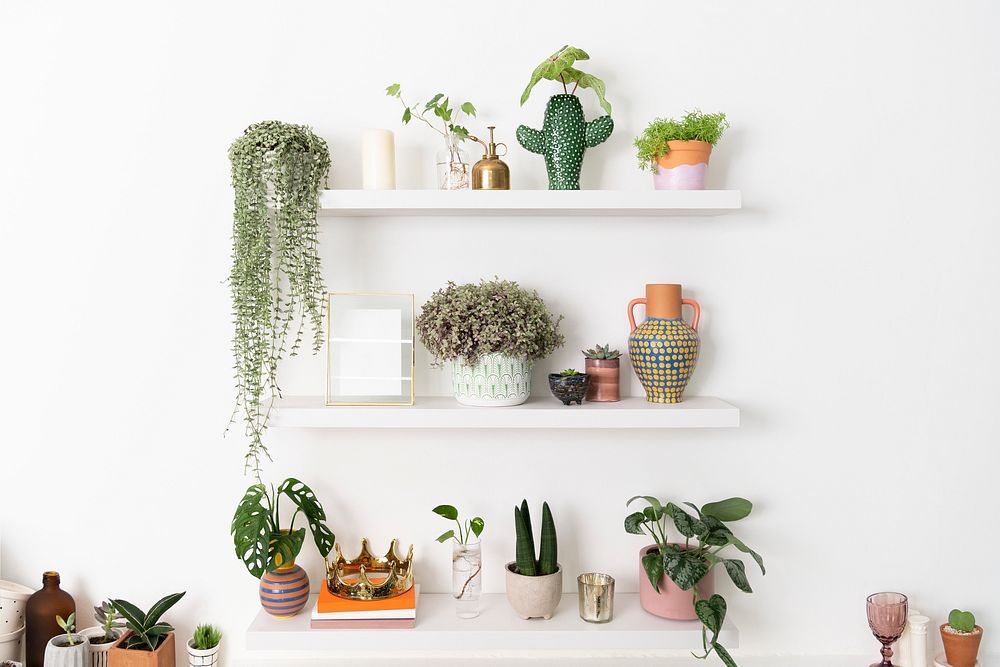 Plant wall shelf indoor home decor
