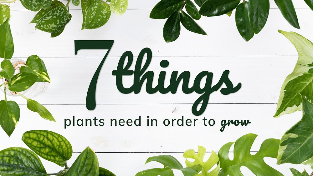 Growing plant guide template vector