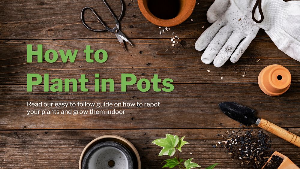 Plant in pot template vector
