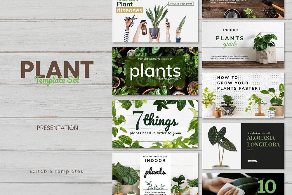 Plant care template vector set